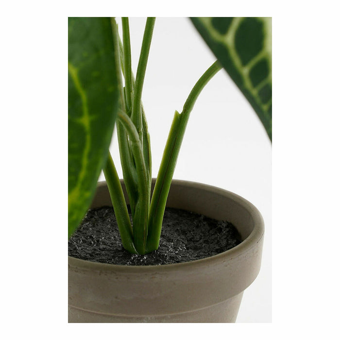 Plantă decorativă Mica Decorations Caladium Ø 21 x 28 cm Artificial
