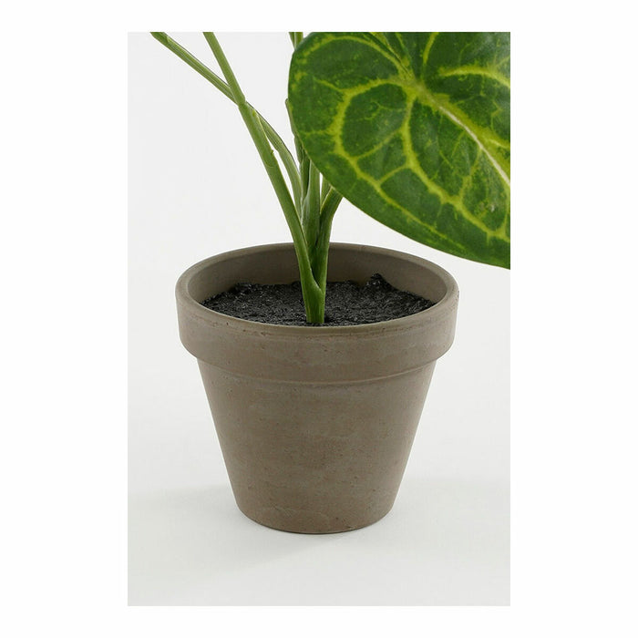 Plantă decorativă Mica Decorations Caladium Ø 21 x 28 cm Artificial