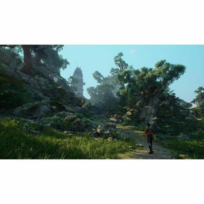 Joc video PlayStation 4 PLAION