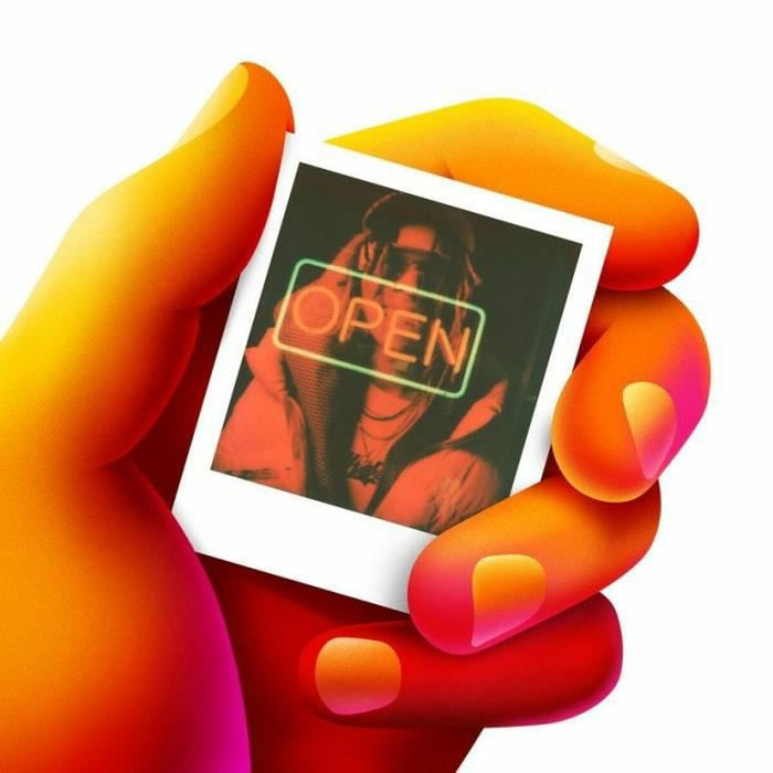 Cablu Polaroid 006017