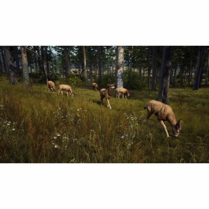 Joc video Xbox Series X THQ Nordic Way of the Hunter: Hunting Season One