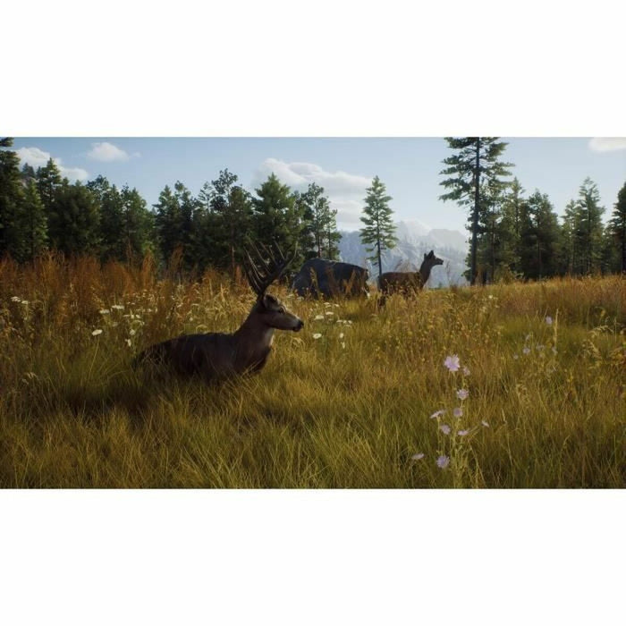 Joc video Xbox Series X THQ Nordic Way of the Hunter: Hunting Season One