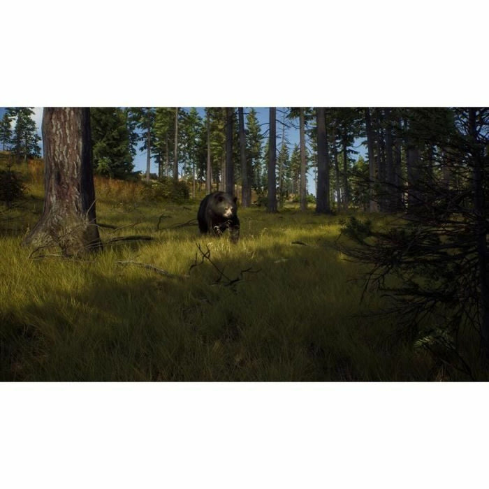 Joc video Xbox Series X THQ Nordic Way of the Hunter: Hunting Season One