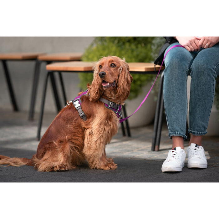 Ham pentru câini Red Dingo Dingo 47-73 cm 56-80 cm Mov L