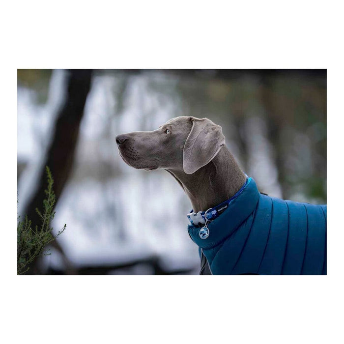 Haină pentru câine Red Dingo Puffer Turquoise 35 cm