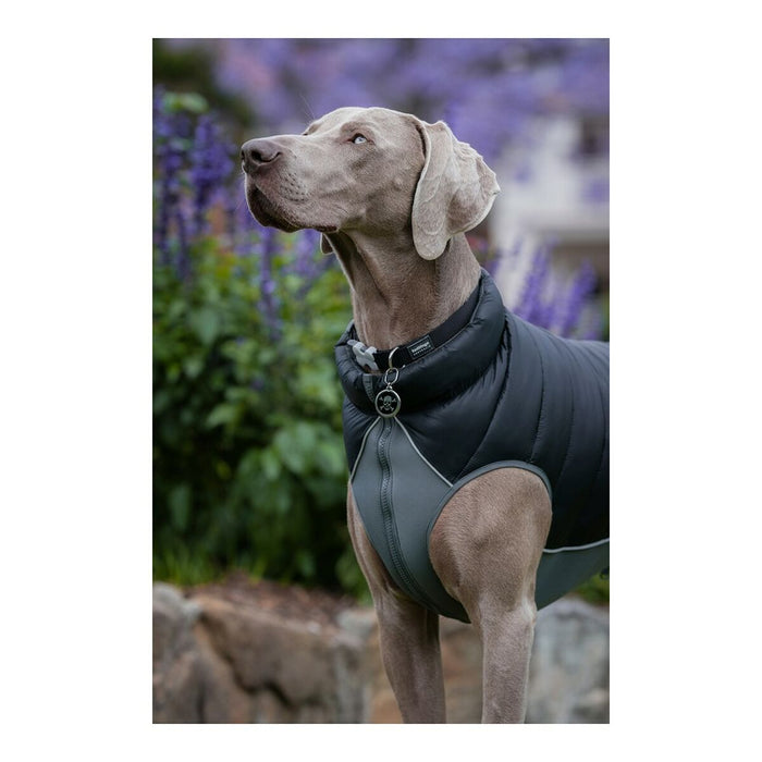Haină pentru câine Red Dingo Puffer Negru/Gri 25 cm