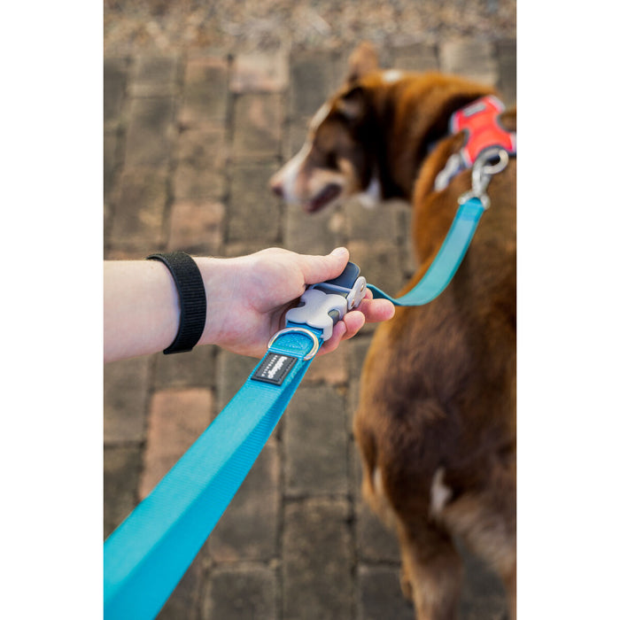 Lesă pentru câine Red Dingo Albastru