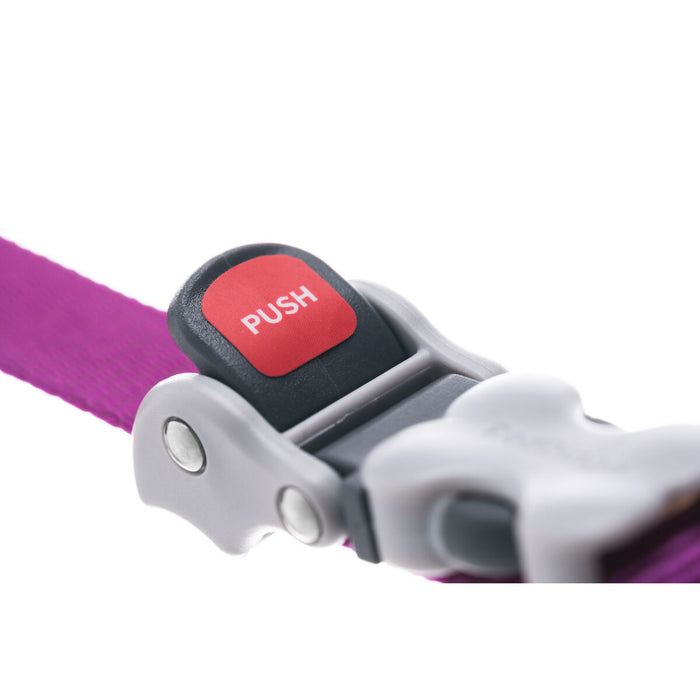 Lesă pentru câine Red Dingo Fucsia