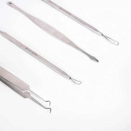Set Extracție Puncte Negre Brushworks, 4 piese din Inox