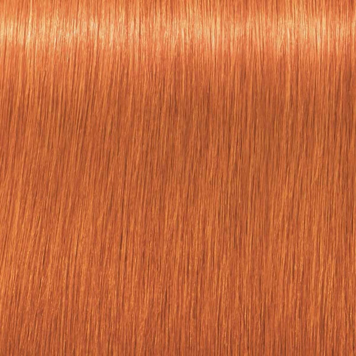 Vopsea Permanentă Schwarzkopf Igora Royal Nº 0-77 Nº 9.0-rubio muy claro 60 ml