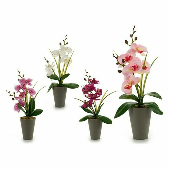 Plantă decorativă Orhidee Plastic 8 x 35 x 14 cm (12 Unități)