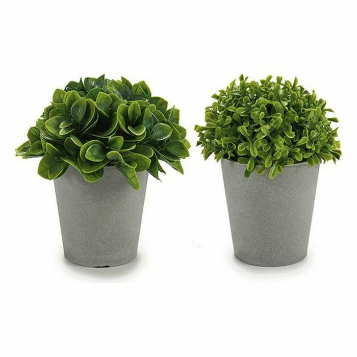 Plantă decorativă Plastic 13 x 17 x 13 cm (12 Unități)