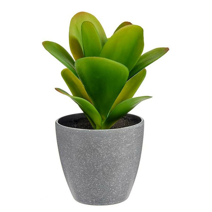 Plantă decorativă Plastic (6 Unități) (11 x 20 x 11 cm)