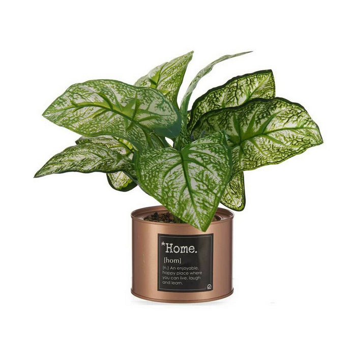 Plantă decorativă Home Cupru Doză (26 x 26 x 26 cm) (6 Unități)