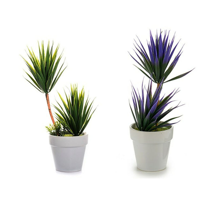 Plantă decorativă Suculent Ceramică Plastic 10 x 30 x 10 cm (12 Unități)