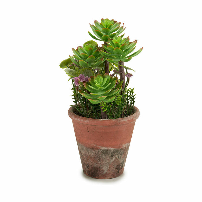 Plantă decorativă Suculent Plastic 16 x 23 x 16 cm (12 Unități)