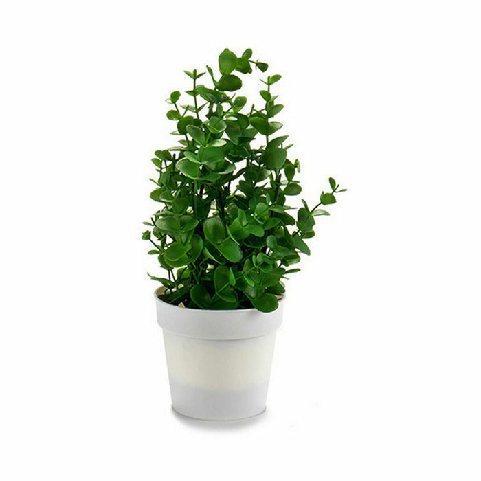 Plantă decorativă Plastic 19 x 26 x 19 cm (12 Unități)