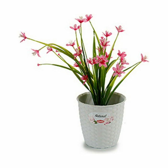 Ghiveci Stefanplast Alb Plastic 14 x 13 x 14 cm (12 Unități)