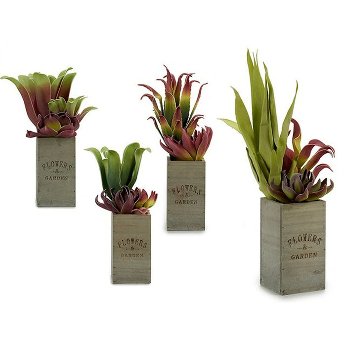 Plantă decorativă Flowers Garden Maro Verde 10 x 50 x 10 cm (4 Unități)