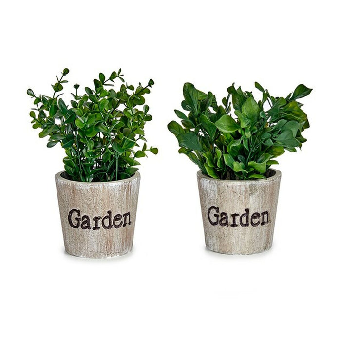 Plantă decorativă Plastic 16 x 22 x 16 cm (12 Unități)
