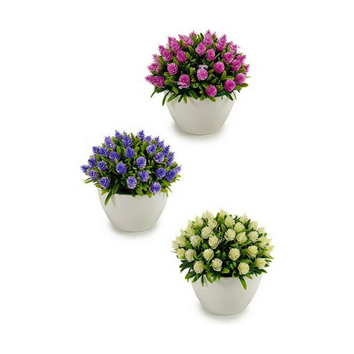Plantă decorativă Květiny Plastic 14 x 12,5 x 14 cm (12 Unități)