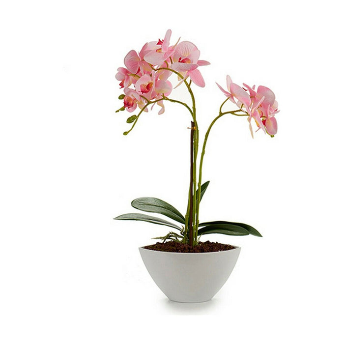 Plantă decorativă Orhidee 16 x 49 x 28 cm Plastic (4 Unități)