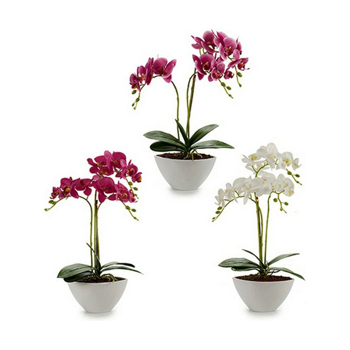 Plantă decorativă Orhidee 16 x 49 x 28 cm Plastic (4 Unități)