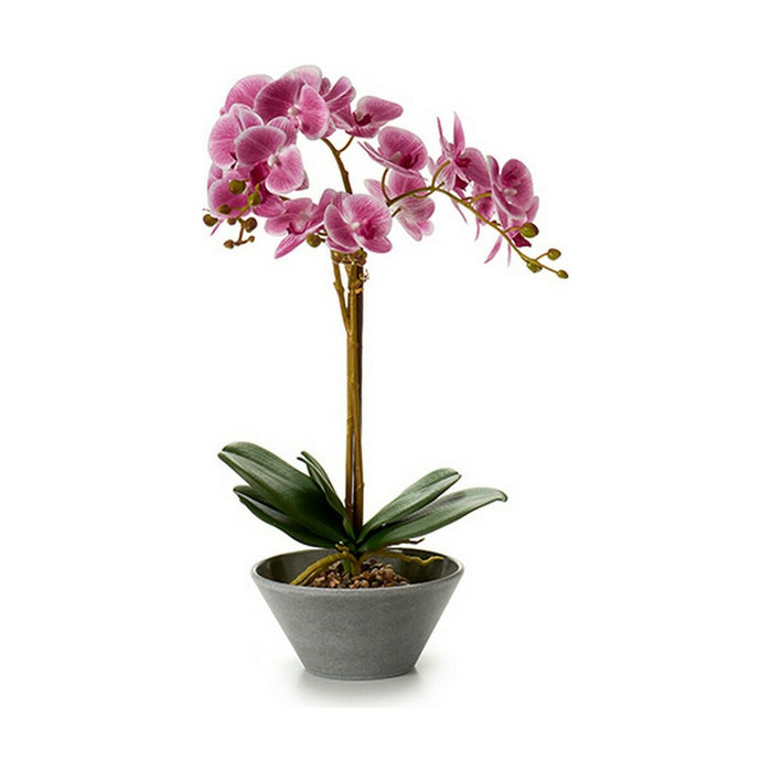 Plantă decorativă Orhidee 20 x 60 x 28 cm (2 Unități)