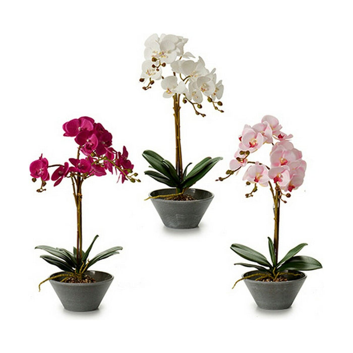 Plantă decorativă Orhidee 20 x 60 x 28 cm (2 Unități)