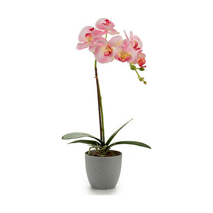 Plantă decorativă Orhidee Plastic 13 x 39 x 22 cm (6 Unități)