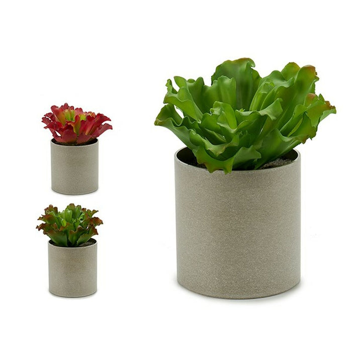 Plantă decorativă 20 x 25 x 20 cm (6 Unități)