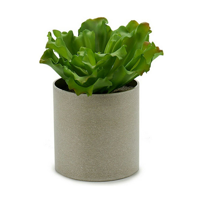 Plantă decorativă 20 x 25 x 20 cm (6 Unități)
