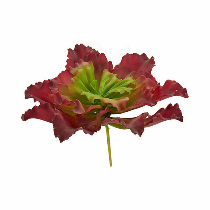 Plantă decorativă Frunze Mare Bicolor Plastic 31 x 24 x 31 cm (6 Unități)