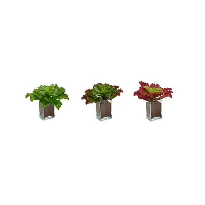 Plantă decorativă Frunze Mare Bicolor Plastic 31 x 24 x 31 cm (6 Unități)
