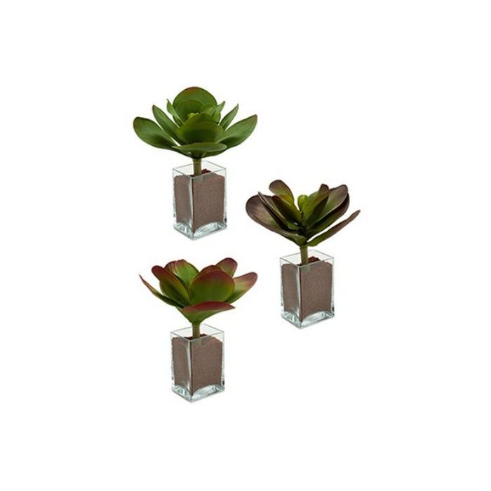 Plantă decorativă Frunze Mare Bicolor Plastic 27 x 29 x 27 cm (6 Unități)