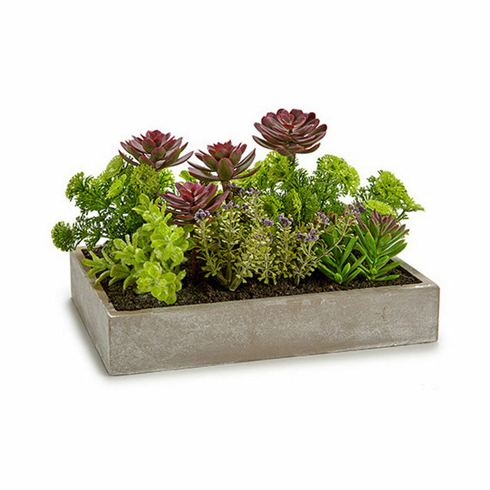 Plantă decorativă Suculent Plastic Цимент 16,5 x 20 x 28,5 cm (6 Unități)