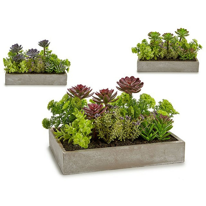 Plantă decorativă Suculent Plastic Цимент 16,5 x 20 x 28,5 cm (6 Unități)
