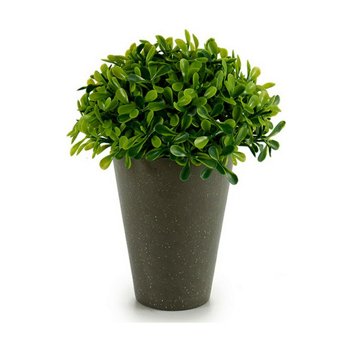 Plantă decorativă Plastic 13 x 16 x 13 cm Verde Gri (12 Unități)