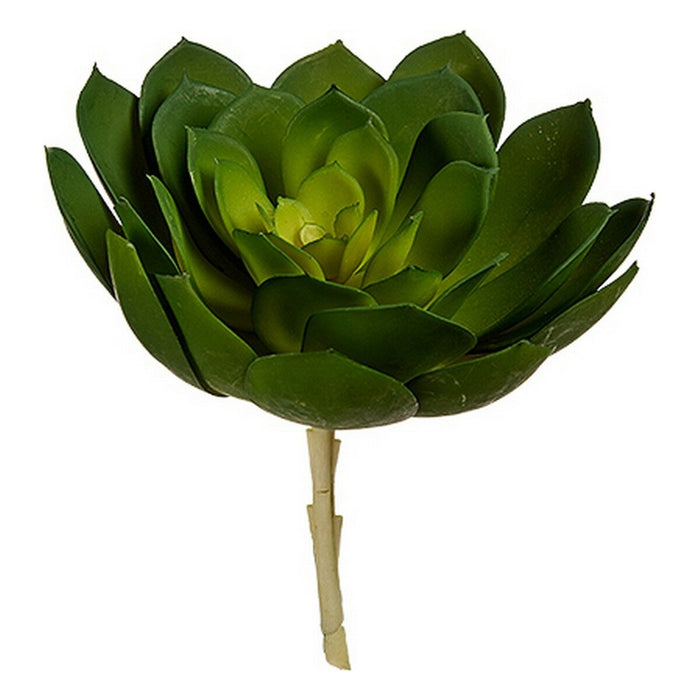 Plantă decorativă 22 x 19 x 19 cm Verde Plastic (6 Unități)