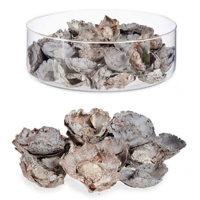 Flori Decorative Natural (12 Unități)