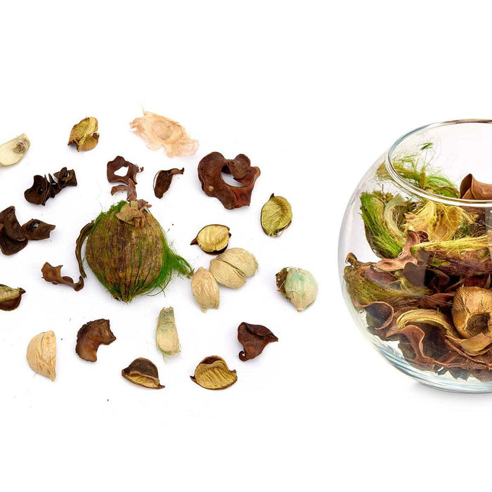 Flori Decorative Iasomie 200 g Verde Natural (12 Unități)