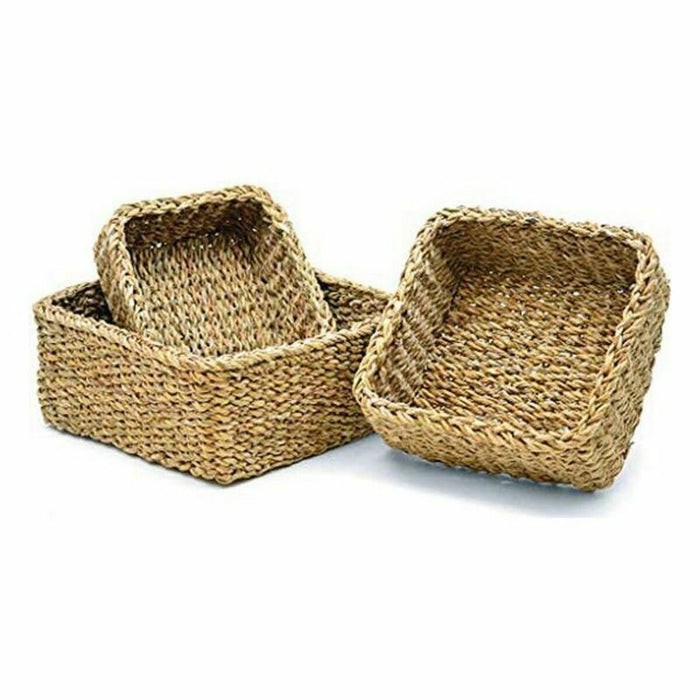 Set de Coșuri Maro Alge marine (6 Unități)