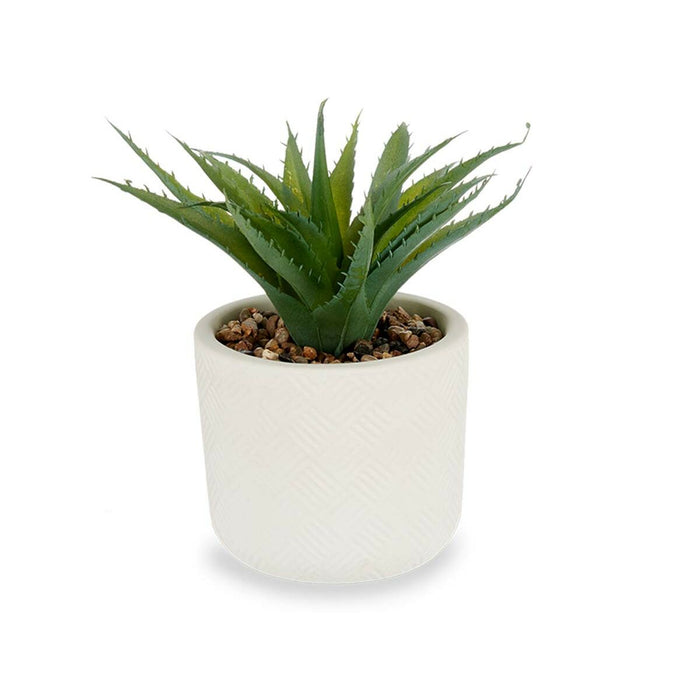Plantă decorativă Suculent Plastic 14 x 18 x 14 cm (12 Unități)