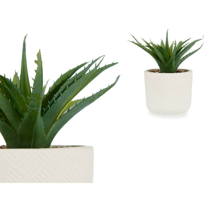 Plantă decorativă Suculent Plastic 14 x 18 x 14 cm (12 Unități)