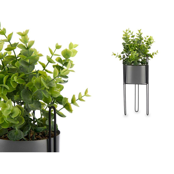 Plantă decorativă Eucalipt Metal Plastic 14 x 40 x 14 cm (8 Unități)