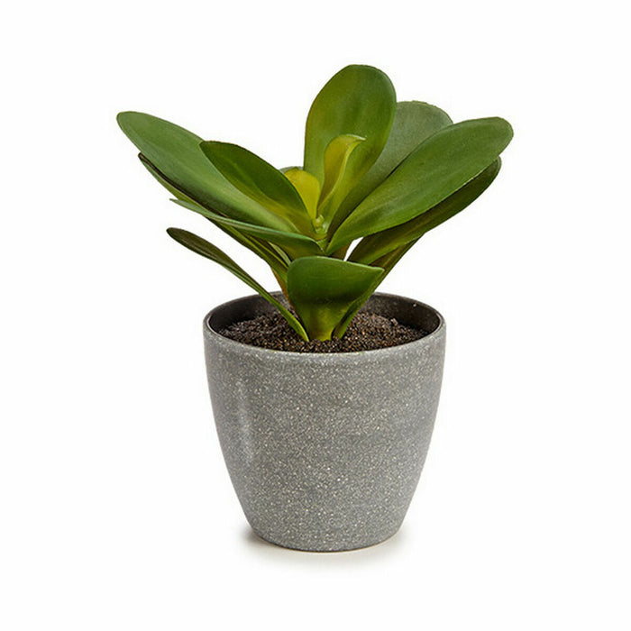 Plantă decorativă Frunze Rotundă Plastic 11 x 15 x 11 cm (6 Unități)
