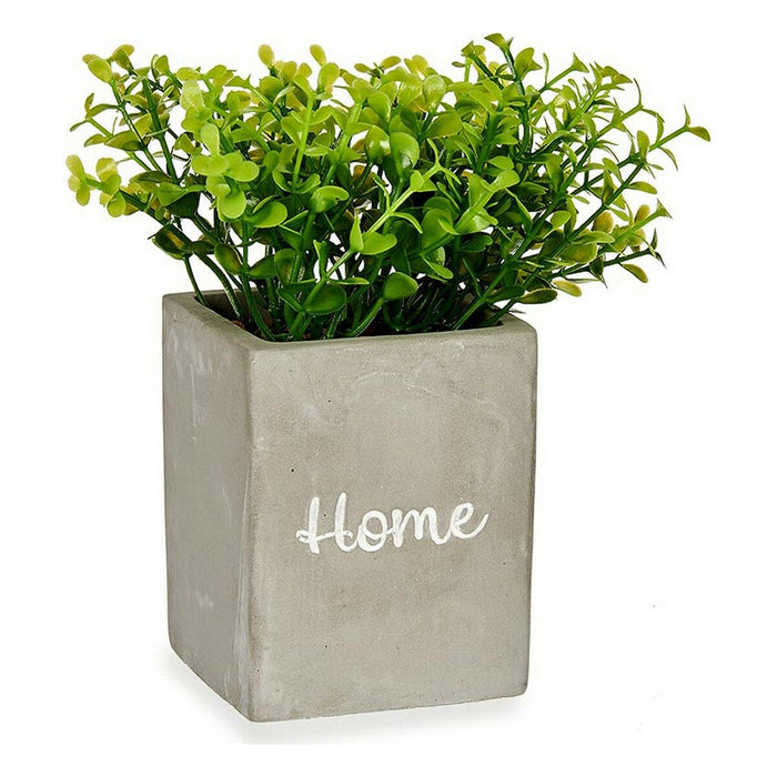 Plantă decorativă Home Gri Цимент Verde Plastic 13 x 20 x 13 cm (6 Unități)