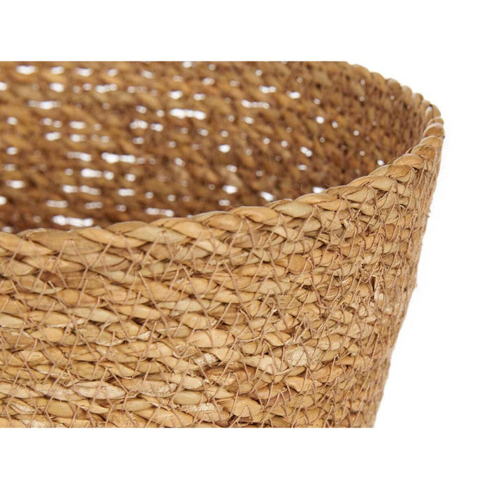 Coș Maro Vegetal 26 x 11 x 21,5 cm (24 Unități)