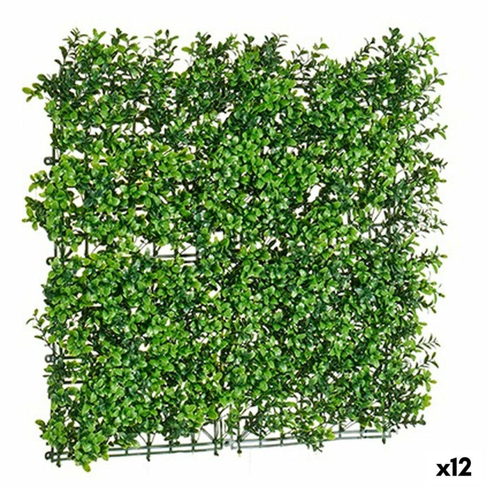 Set pentru Grădină verticală 50 x 5 x 50 cm (12 Unități)
