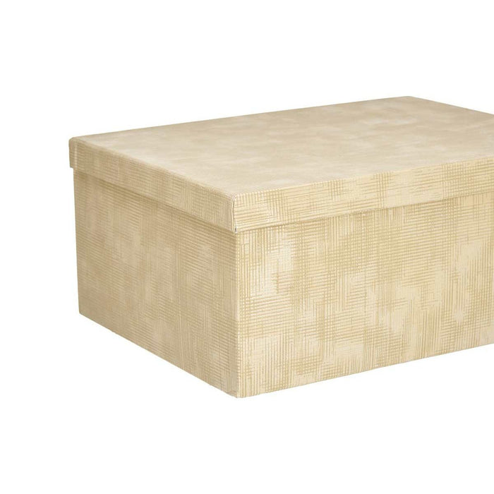 Set de cutii de depozitare, cu posibilitate de stivuire Dungi Natural Carton (2 Unități)